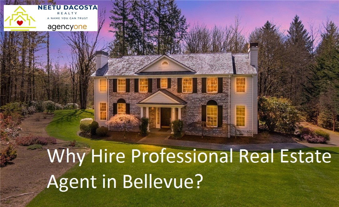 Why Hire Professional Real Estate Agent in Bellevue?