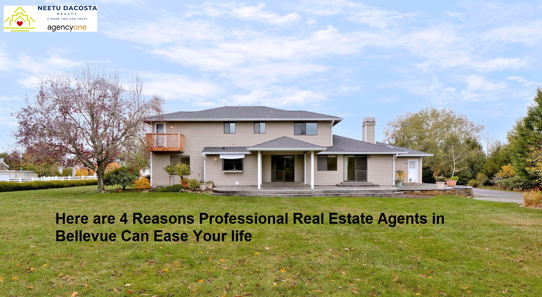 You are currently viewing Here are 4 Reasons Professional Real Estate Agents in Bellevue Can Ease Your life